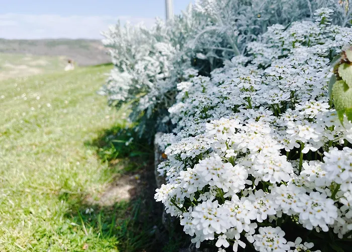 Poggiosalto In Toscana