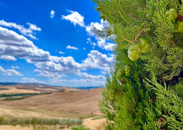 Poggiosalto In Toscana